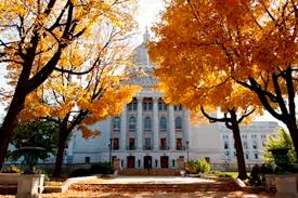 Fall Capitol